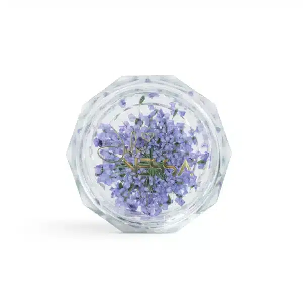 Flowernesski - Fioletowe suszone kwiaty